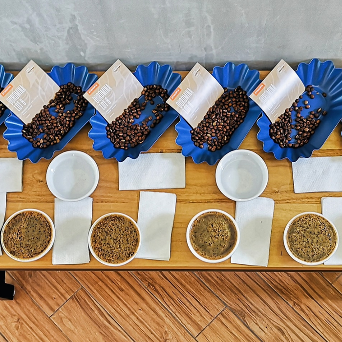 Training Log by Giorgio Bernardo - Getting started with our Roasting Philosophy