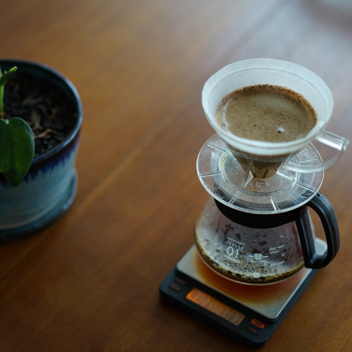 Training Log by David Train - Starting to brew