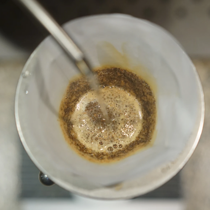 Training Log by David Train - My Competition Coffee is here