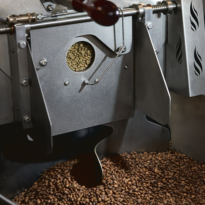 El Socorro - Guatemala - Washed Pacamara