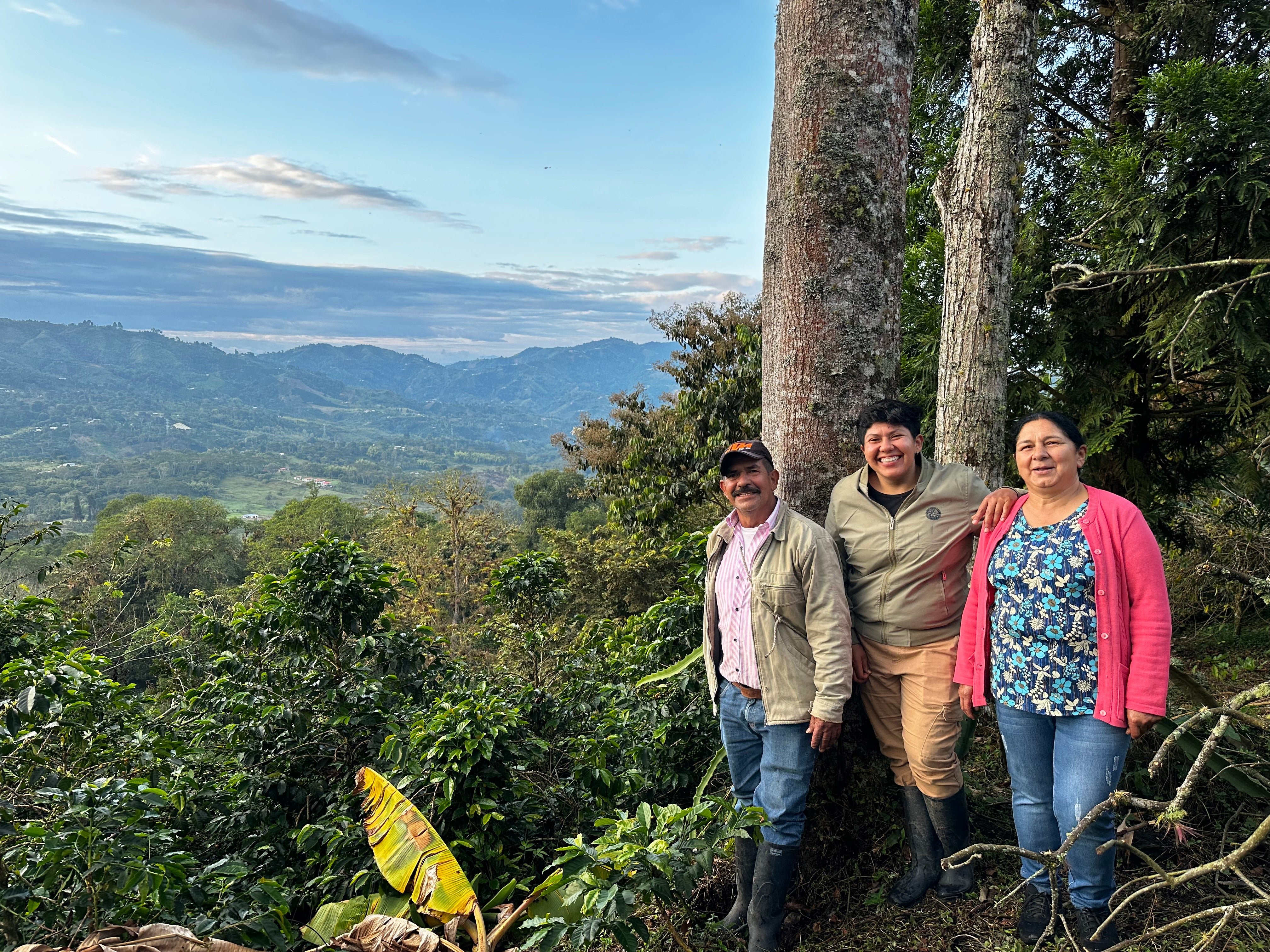 El Tesoro - Colombia - Washed Tabi
