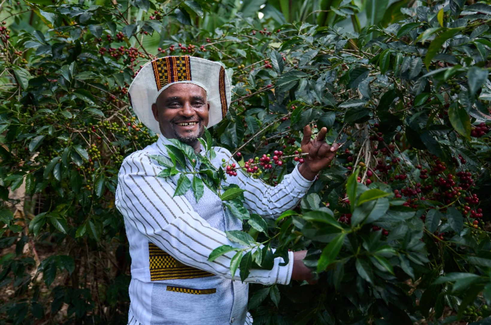 Regassa - Ethiopia - Natural Krume 74158