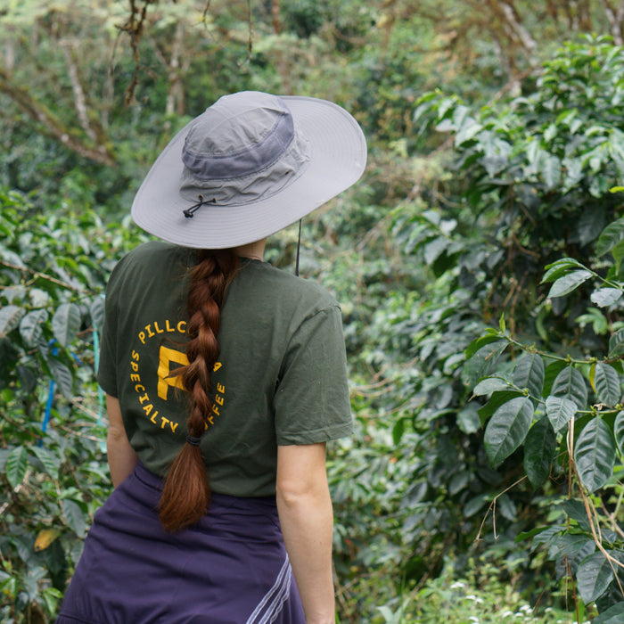 Sustainable Profile Coffee - Ecuador