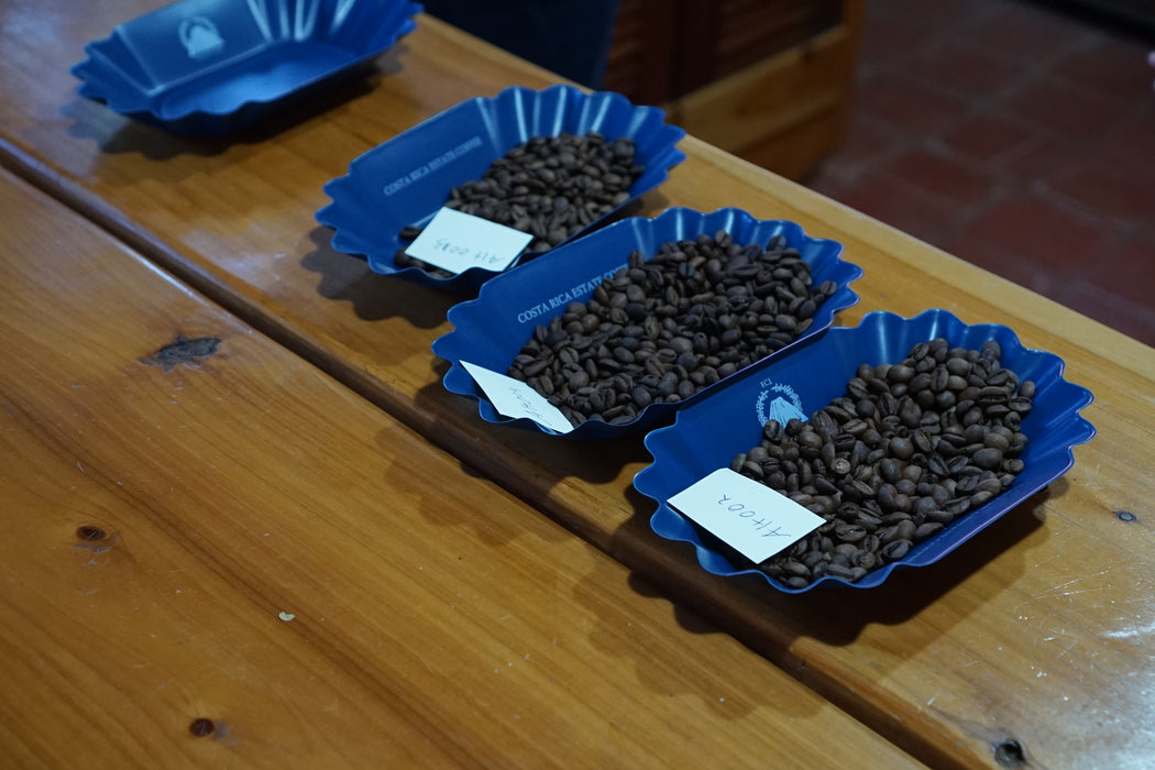 Sustainable Profile Coffee - Costa Rica
